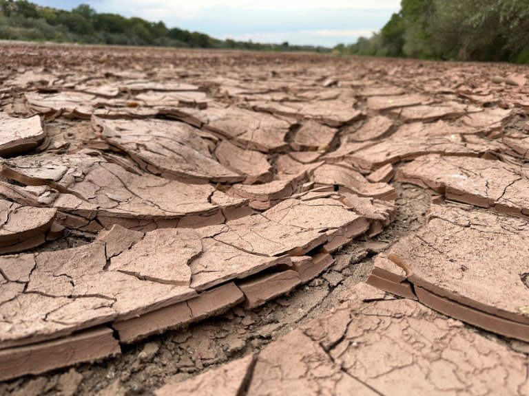 A drying-up Rio Grande basin threatens water security on both sides of the border | iNFOnews.ca