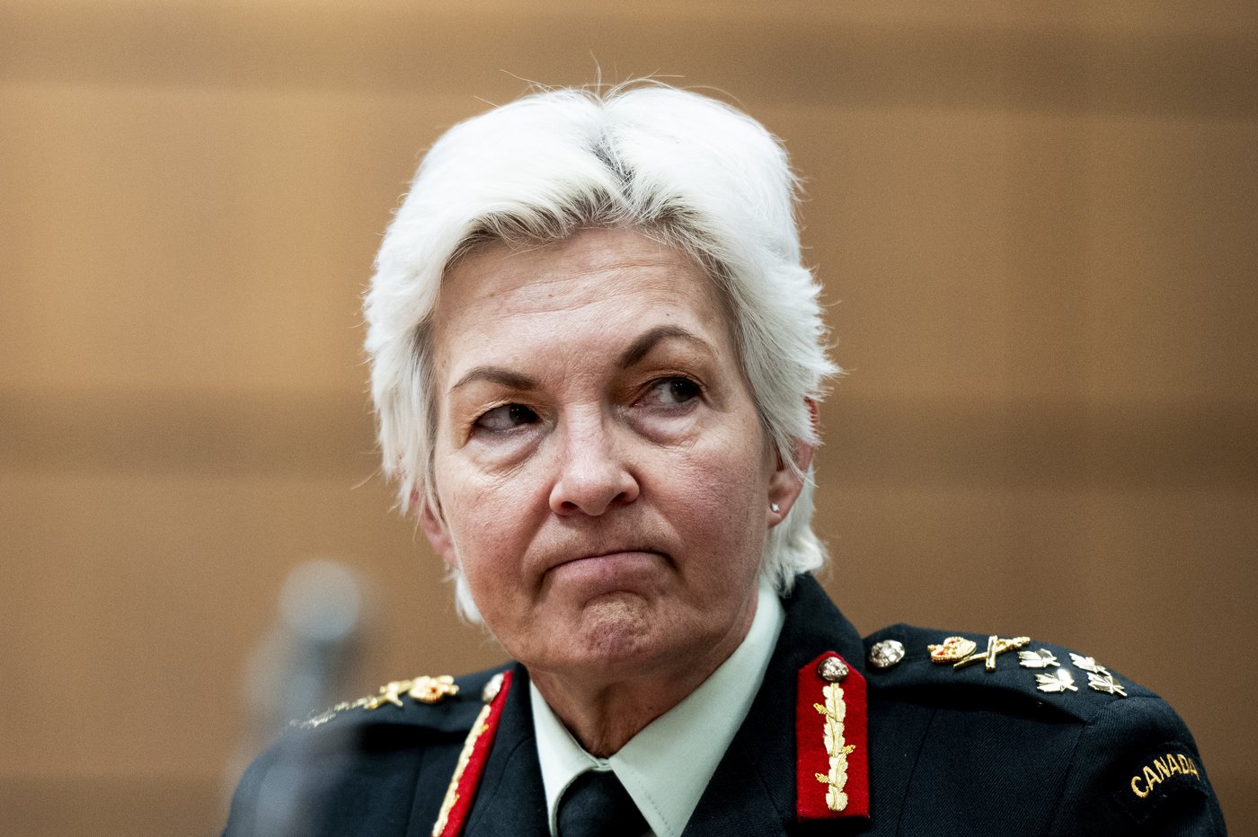 Immigration Department helping Canadian military recruit foreign military members | iNFOnews.ca