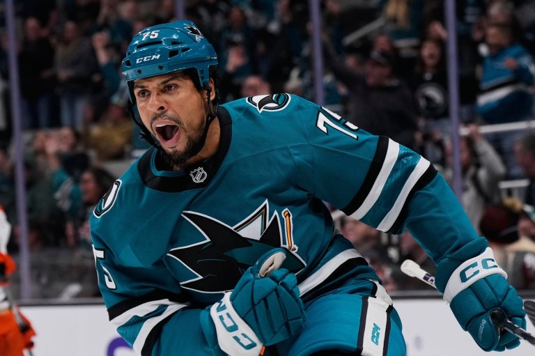 Enforcer Ryan Reaves says he is retiring, leaving the NHL with three visor-less players | iNFOnews.ca