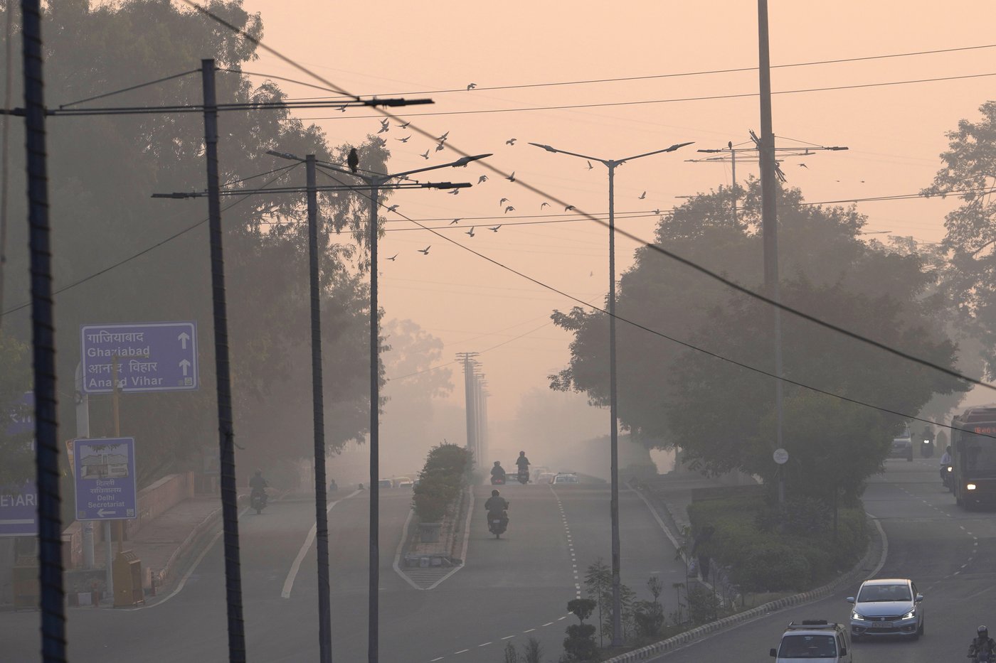 Toxic smog cloaks India's capital as Diwali firecrackers push air pollution to hazardous levels | iNFOnews.ca