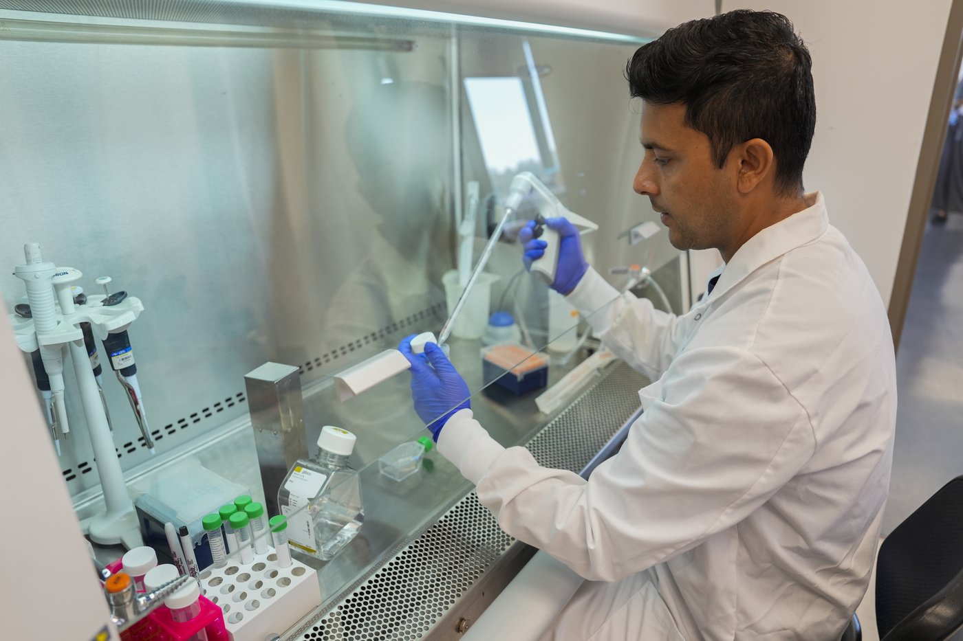 Researchers in a lab near Lake Erie study how toxic algae can damage health | iNFOnews.ca
