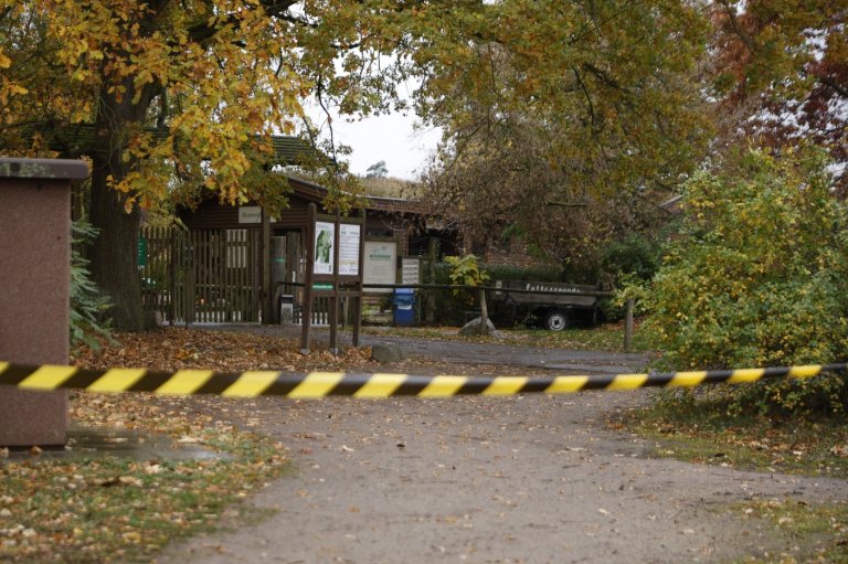 An 8-year-old girl was attacked by a wolf in a German zoo | iNFOnews.ca