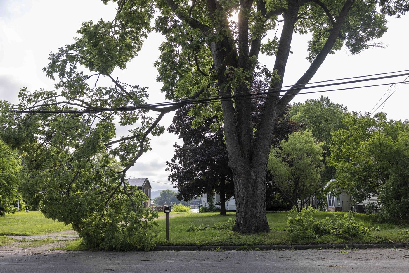A derecho with at least one 99 mph gust swept the Upper Plains and Midwest, the weather service says | iNFOnews.ca A derecho with at least one 99 mph gust swept the Upper Plains and Midwest, the weather service says | iNFOnews.ca