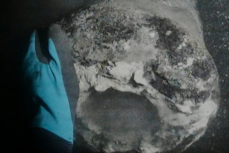 Danish warship sunk by Nelson's British fleet discovered after 225 years | iNFOnews.ca