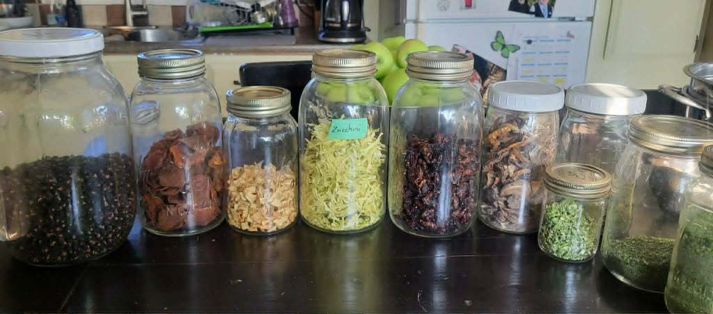 Kamloops couple turns tiny space into year round healthy food buffet | iNhome Kamloops couple turns tiny space into year round healthy food buffet | iNhome