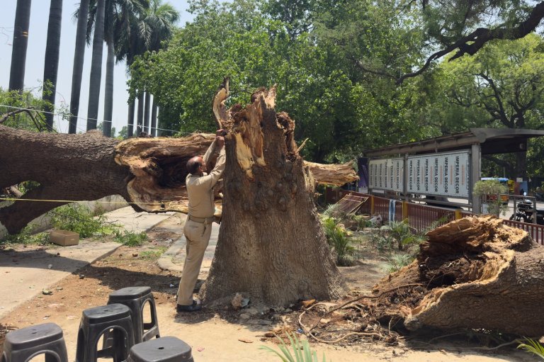 Dust storms and lightning kill at least 96 people in northern India | iNFOnews.ca