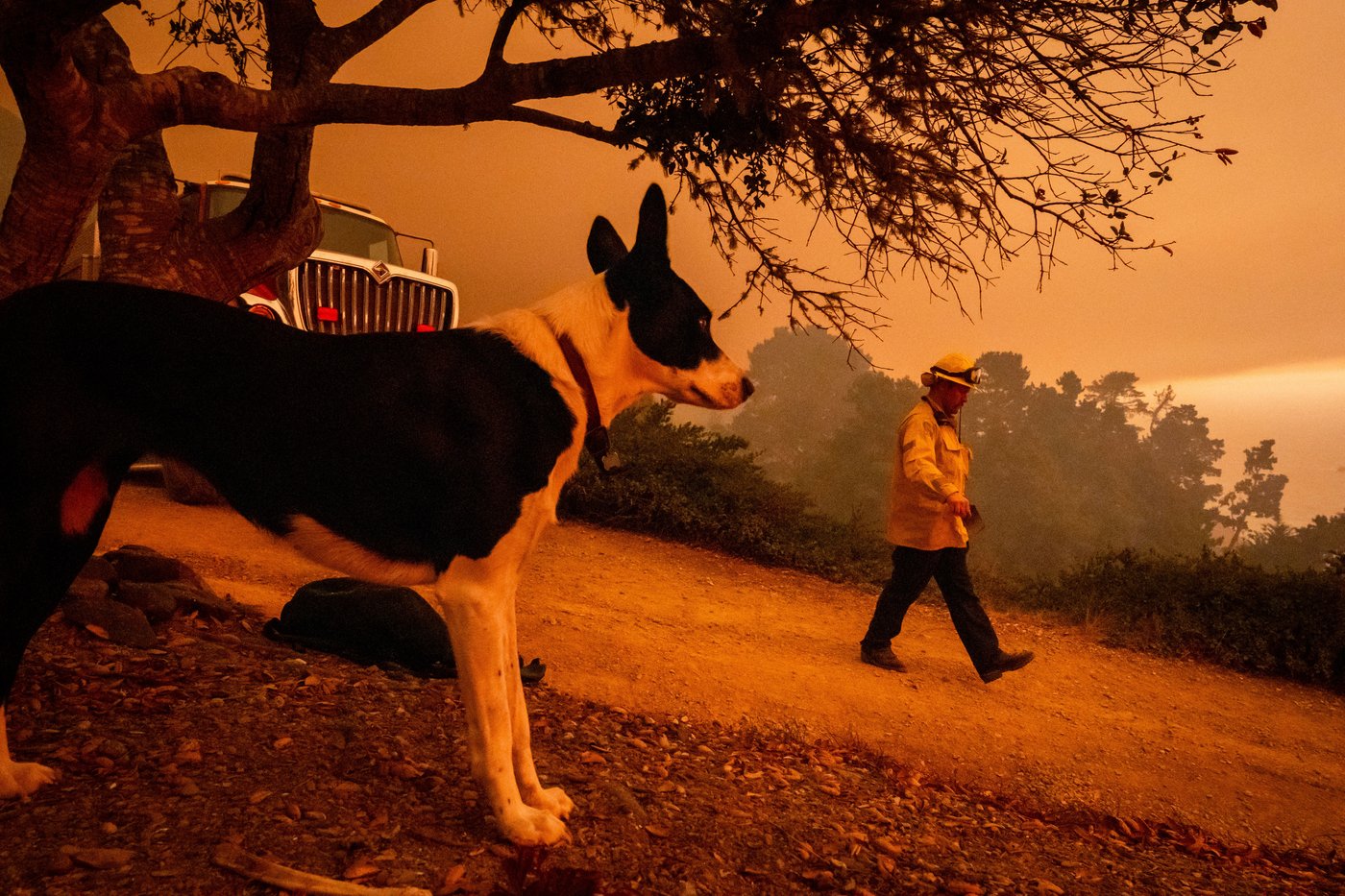 Wildfires burn along California's scenic Big Sur coast, in photos | iNFOnews.ca