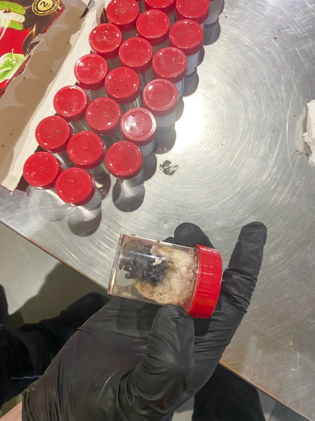 German customs officials show images of tarantulas hidden in spongecake boxes after smuggling bust | iNFOnews.ca German customs officials show images of tarantulas hidden in spongecake boxes after smuggling bust | iNFOnews.ca
