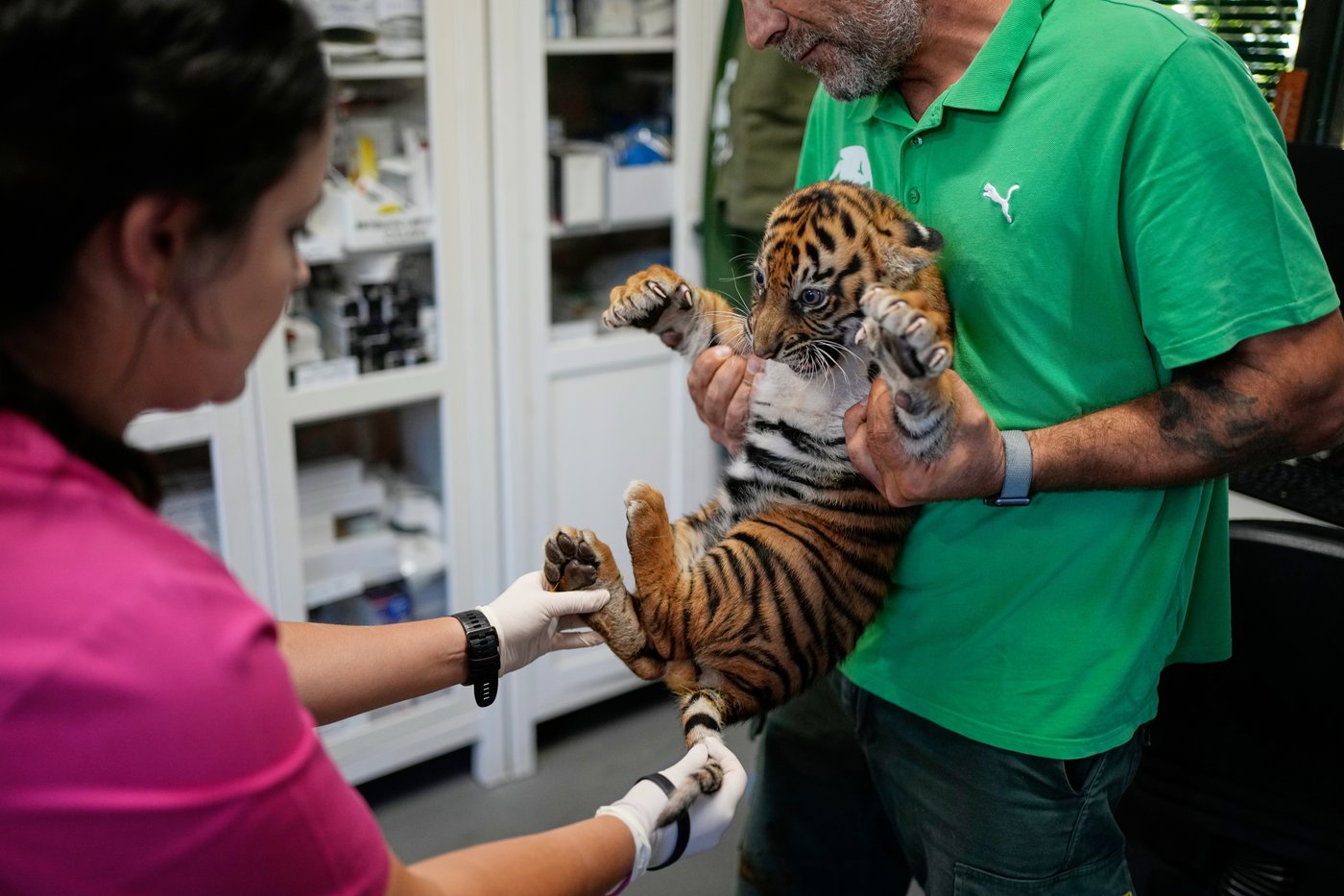 The top photos of the day by AP's photojournalists | iNFOnews.ca