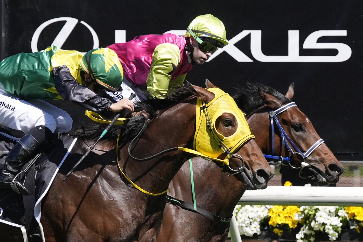Knight's Choice wins 164th running of Australia's Melbourne Cup at 80-1 | iNFOnews.ca Knight's Choice wins 164th running of Australia's Melbourne Cup at 80-1 | iNFOnews.ca