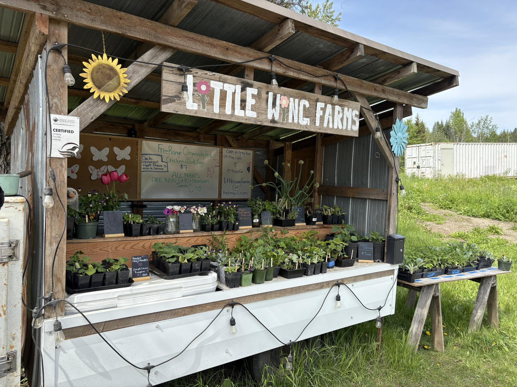 A farm stand is filled with plants for sale.