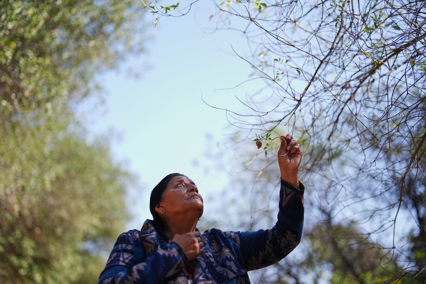 US-Mexico border wall construction is desecrating sacred sites, Indigenous leaders say | iNFOnews.ca