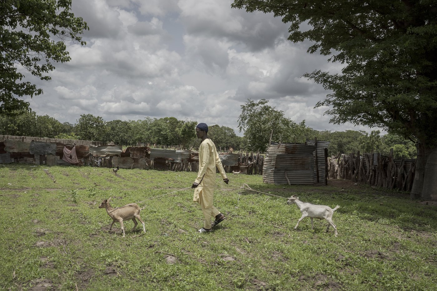 Money Gambians send home from Europe is a lifeline for their families but the sacrifices take a toll | iNFOnews.ca