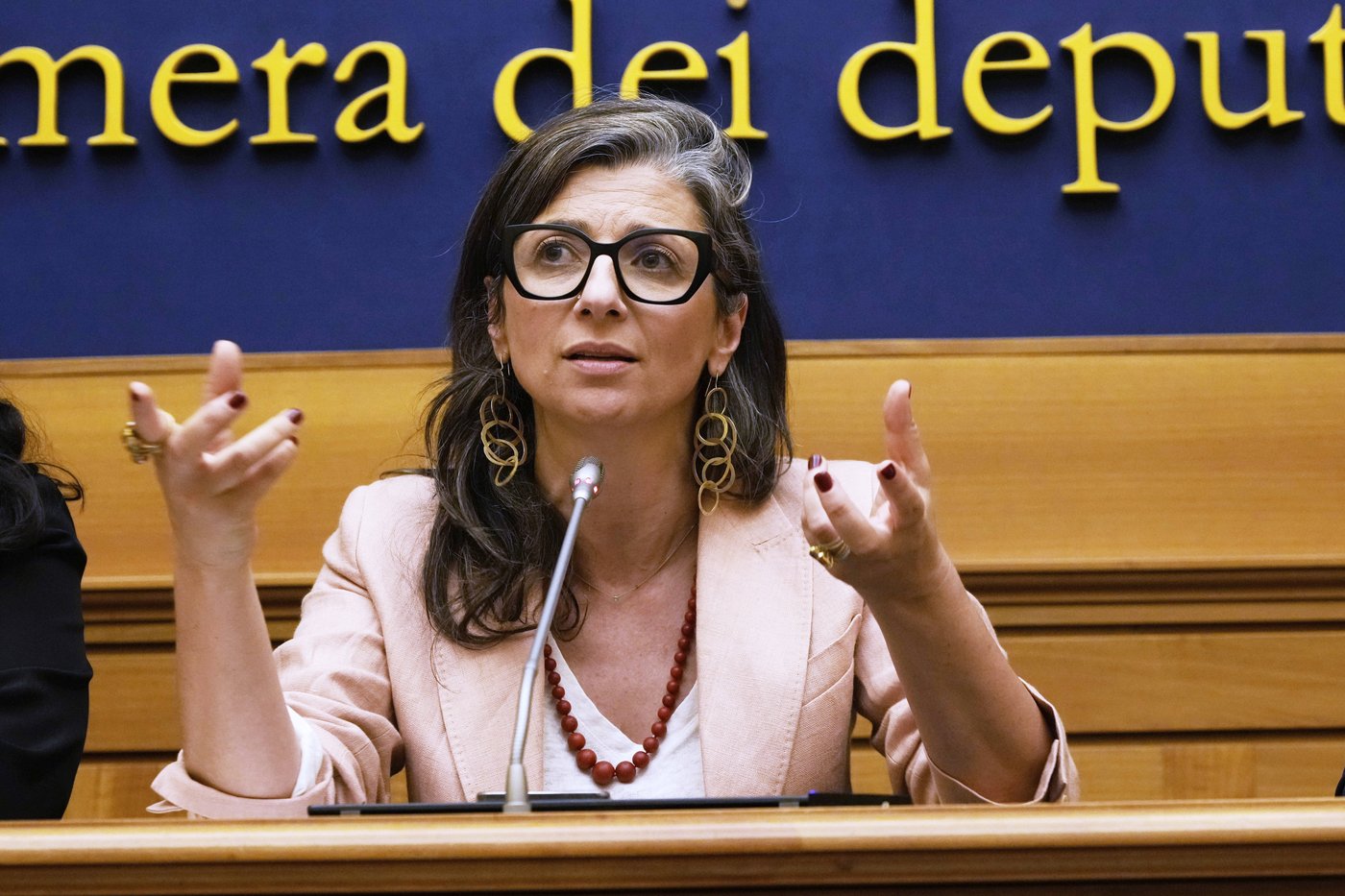 Francesca Albanese says US sanctions over her criticism of Israel will seriously impact her life | iNFOnews.ca