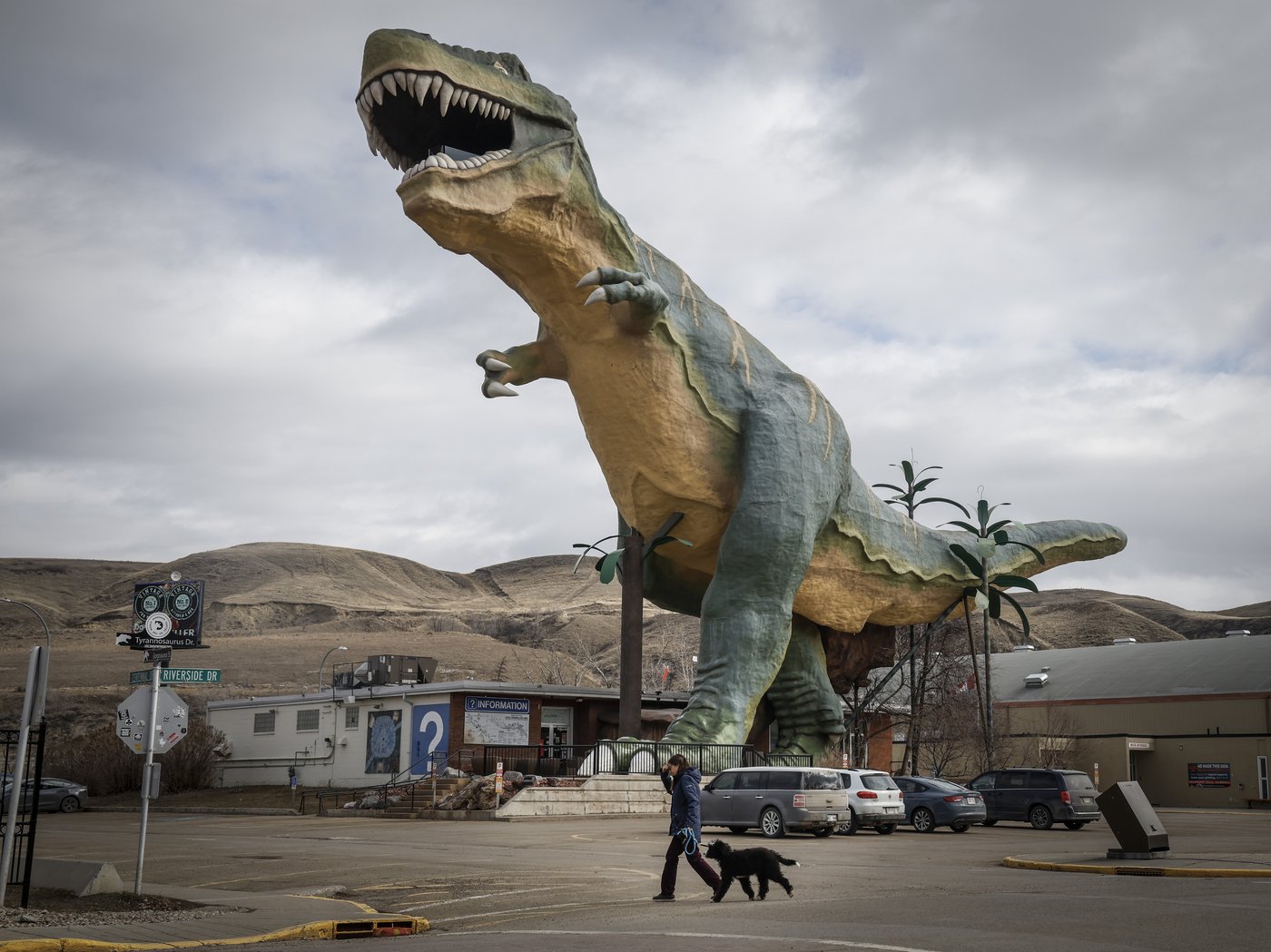 'Special to the world': Supporters hope to save beloved Drumheller dinosaur | iNFOnews.ca 'Special to the world': Supporters hope to save beloved Drumheller dinosaur | iNFOnews.ca