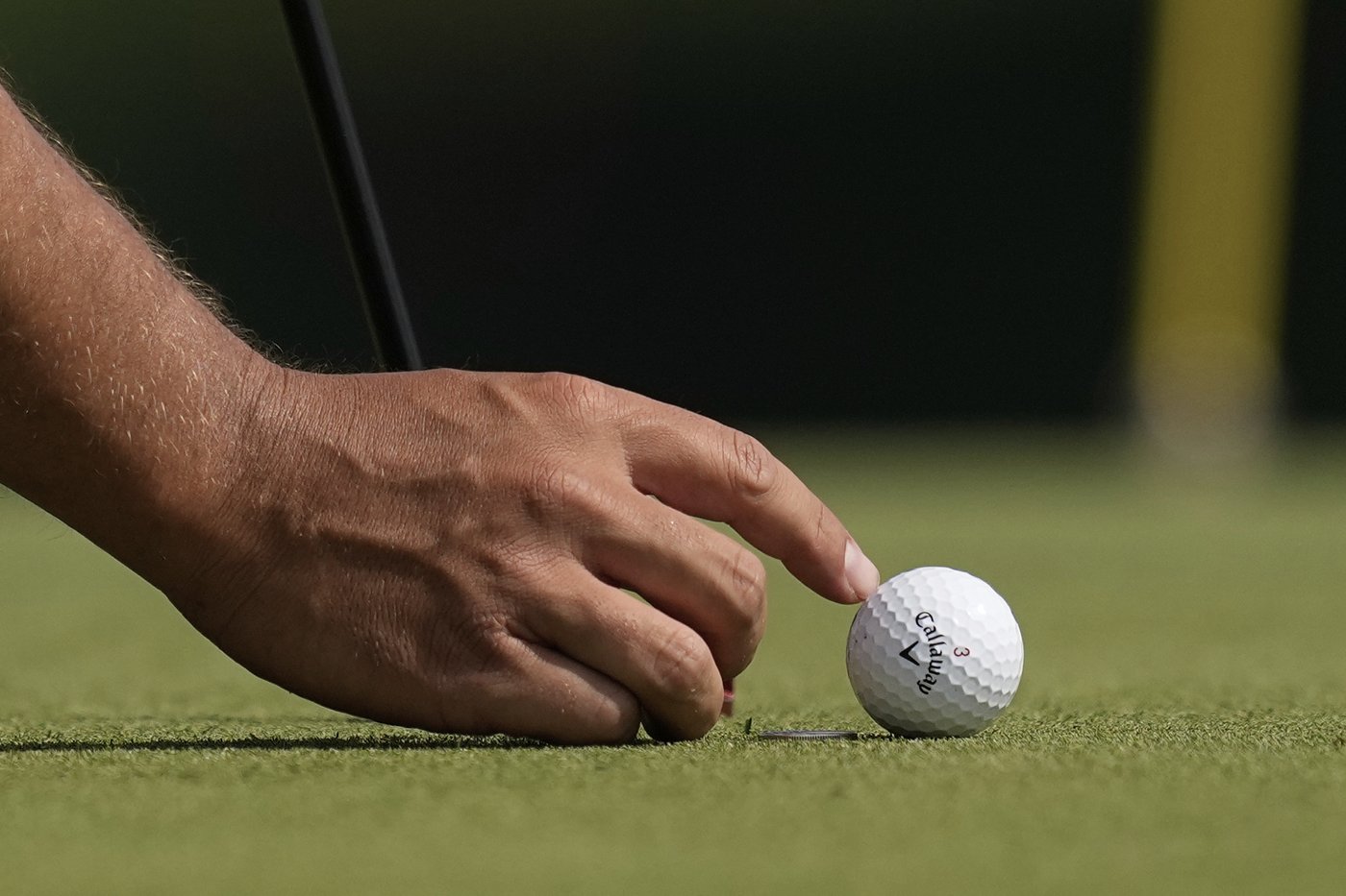 PHOTO COLLECTION: PGA Championship Golf | iNFOnews.ca