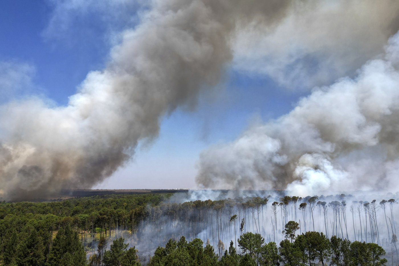 'Leo will follow Francis.' Amazon Catholics hope the new pope will protect the rain forest | iNFOnews.ca
