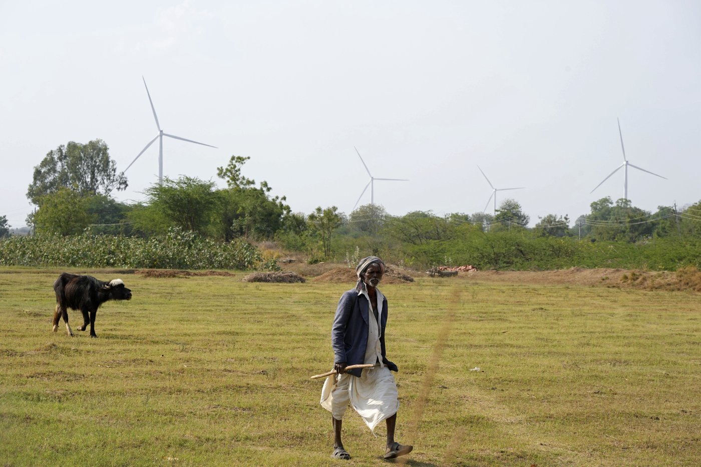 India, a major user of coal power, is making large gains in clean energy adoption. Here is how | iNFOnews.ca
