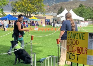 A dog sits by its owner on a grassy field.
