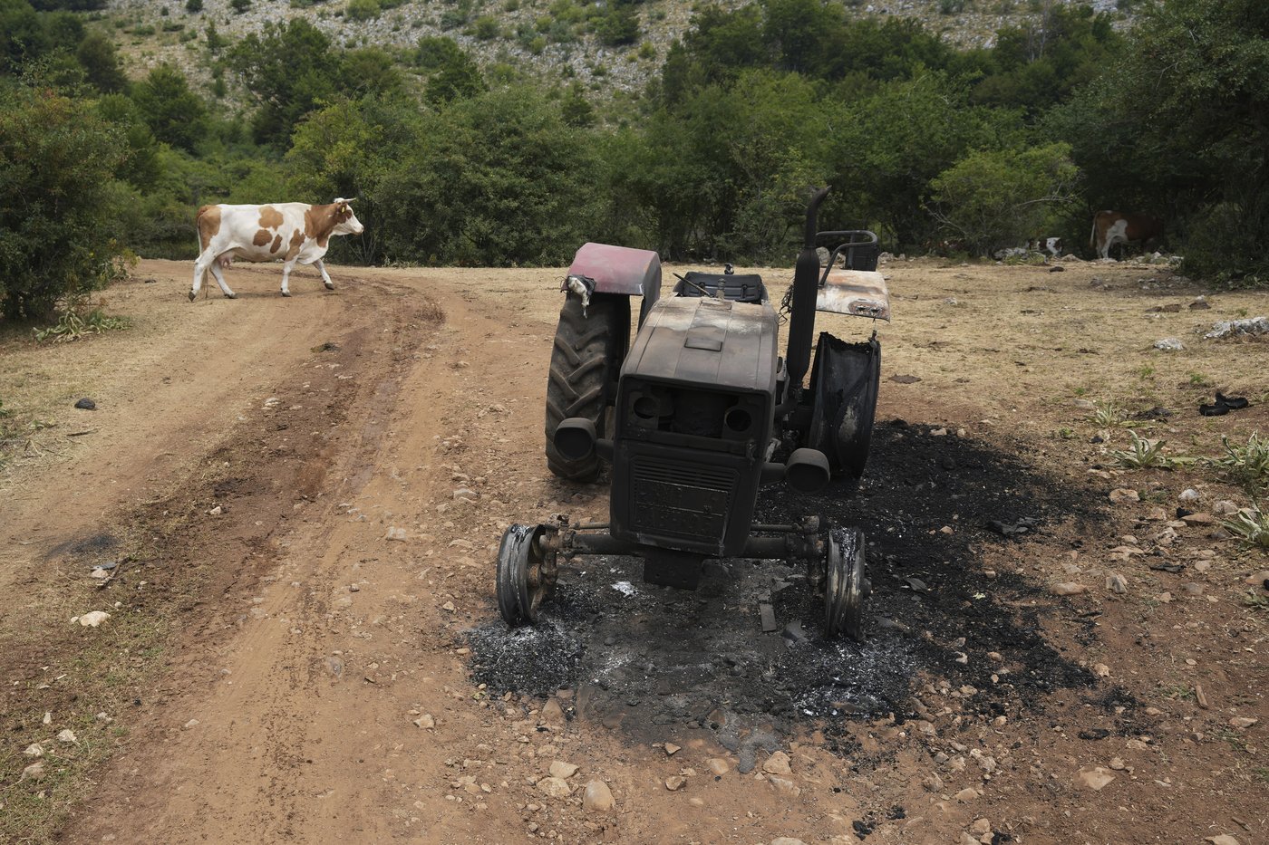 Water tanks replace springs on a Serbian mountain as drought endangers some 1,000 cows and horses | iNFOnews.ca Water tanks replace springs on a Serbian mountain as drought endangers some 1,000 cows and horses | iNFOnews.ca