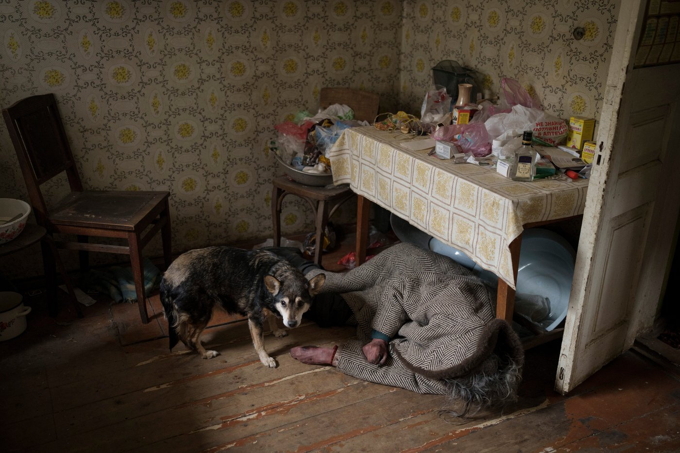 4 years of war in Ukraine, in photos | iNFOnews.ca