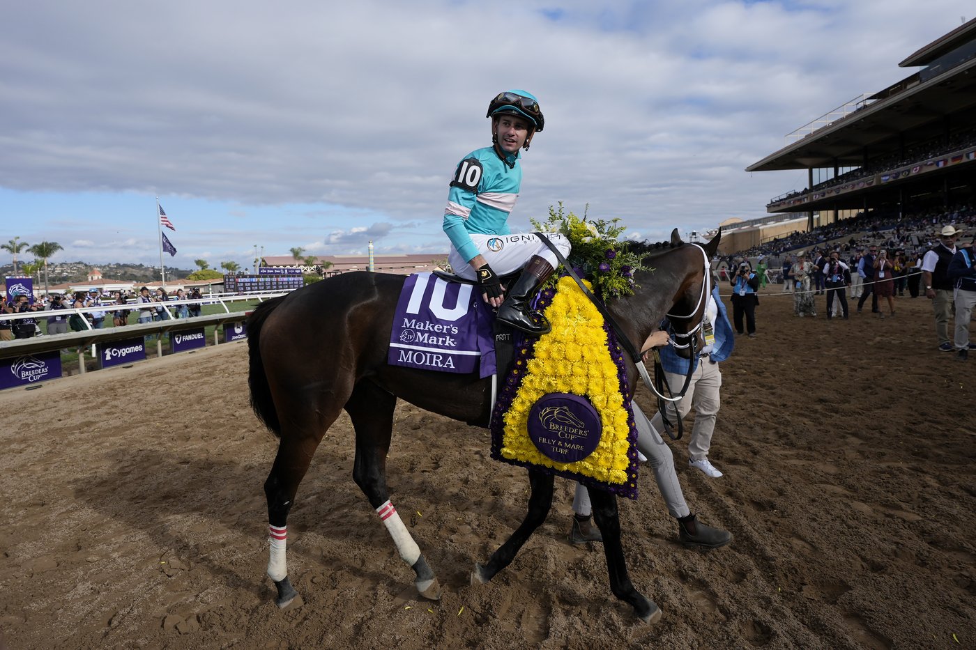 Sierra Leone wins $7 million Breeders' Cup Classic after suffering close loss in Kentucky Derby | iNFOnews.ca Sierra Leone wins $7 million Breeders' Cup Classic after suffering close loss in Kentucky Derby | iNFOnews.ca