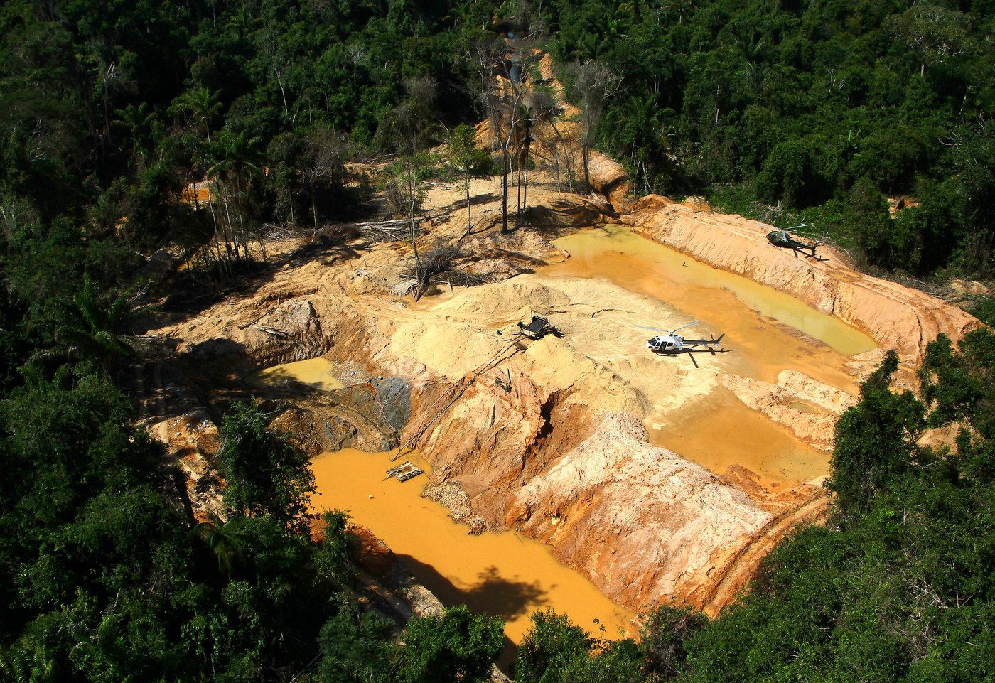 A gold-fueled mining rush scars Brazil’s Amazon, spiking deforestation and mercury risks | iNFOnews.ca