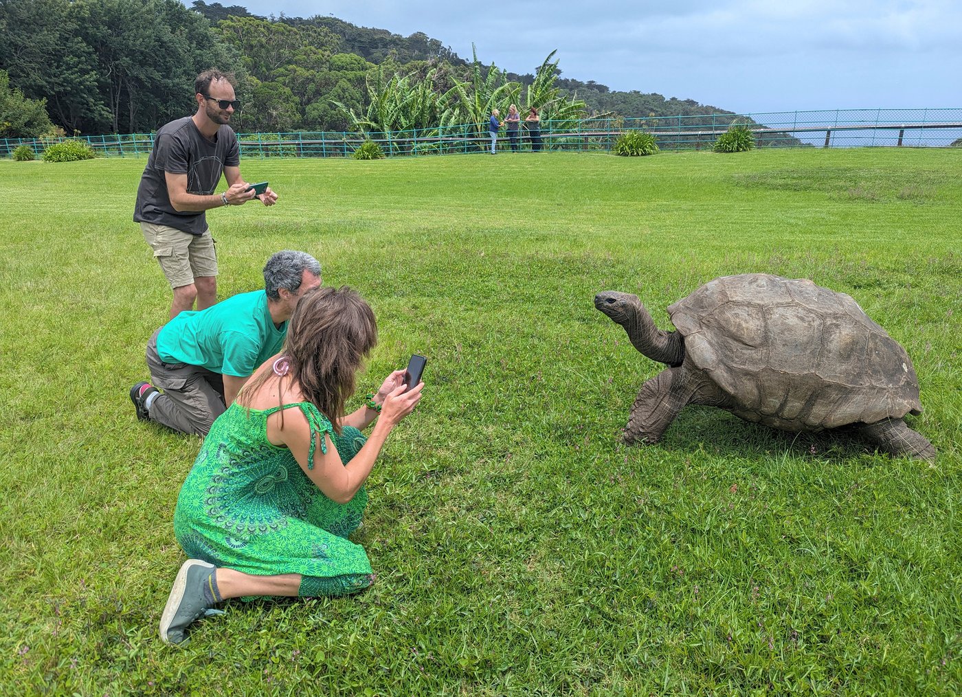 World's oldest known tortoise still very much alive despite rumor to the contrary | iNFOnews.ca