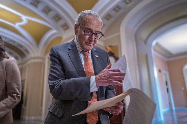 Chuck Schumer has broad support from his caucus, but midterms could decide his future as leader | iNFOnews.ca