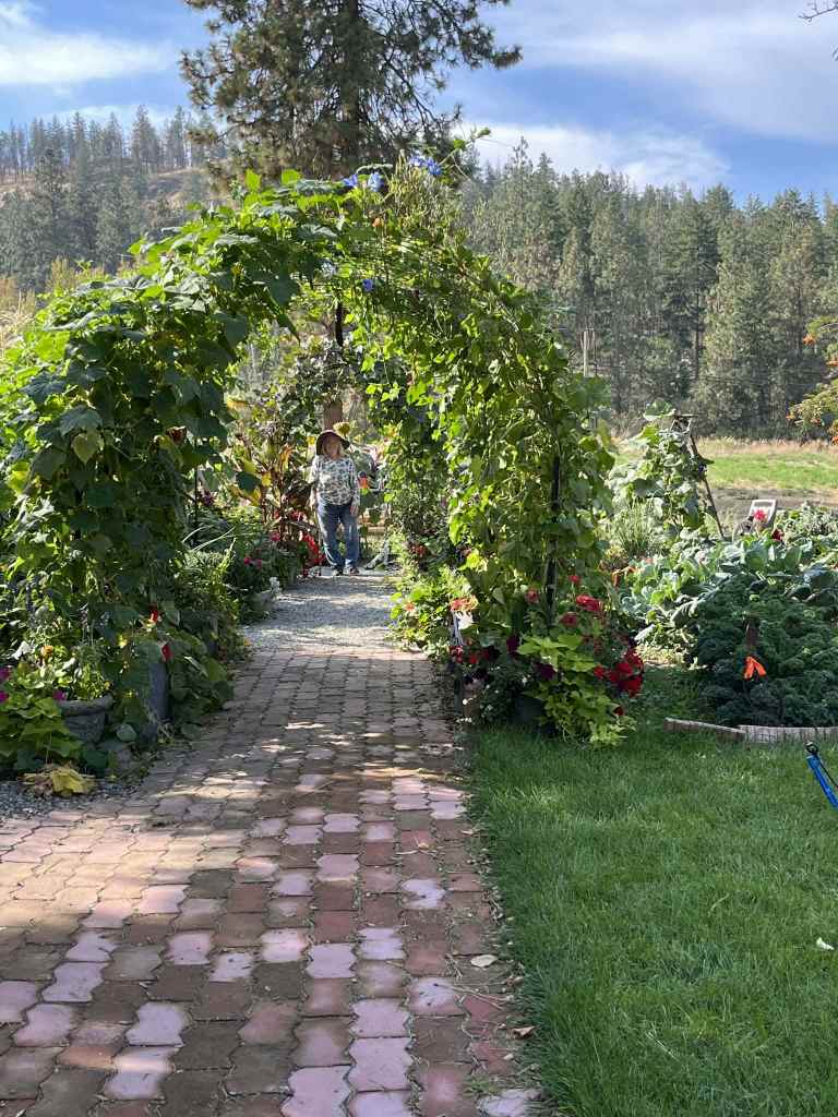 Kelowna healthcare worker opens care farm to benefit dementia sufferers | iNwine