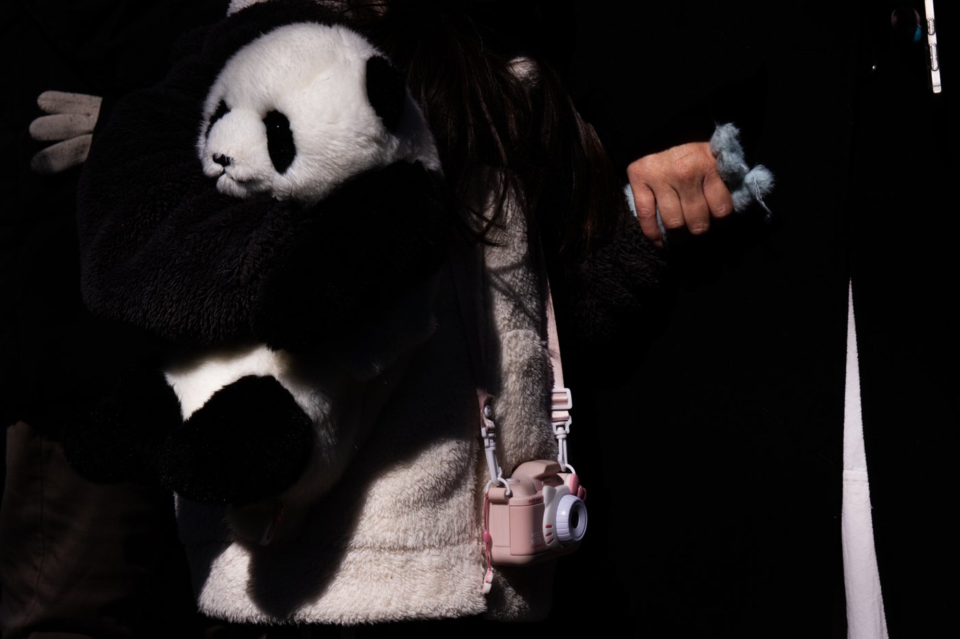 Photos shows Japan's love of pandas as twins Xiao Xiao and Lei Lei return to China | iNFOnews.ca