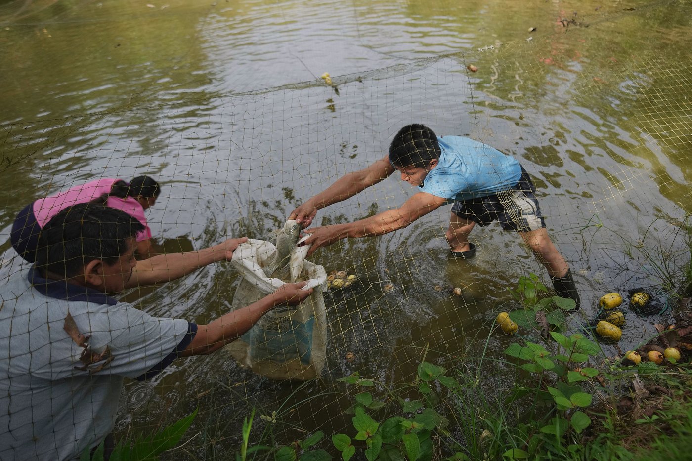 Seed guardians of the Amazon: A family's solitary fight to save endangered plants | iNFOnews.ca