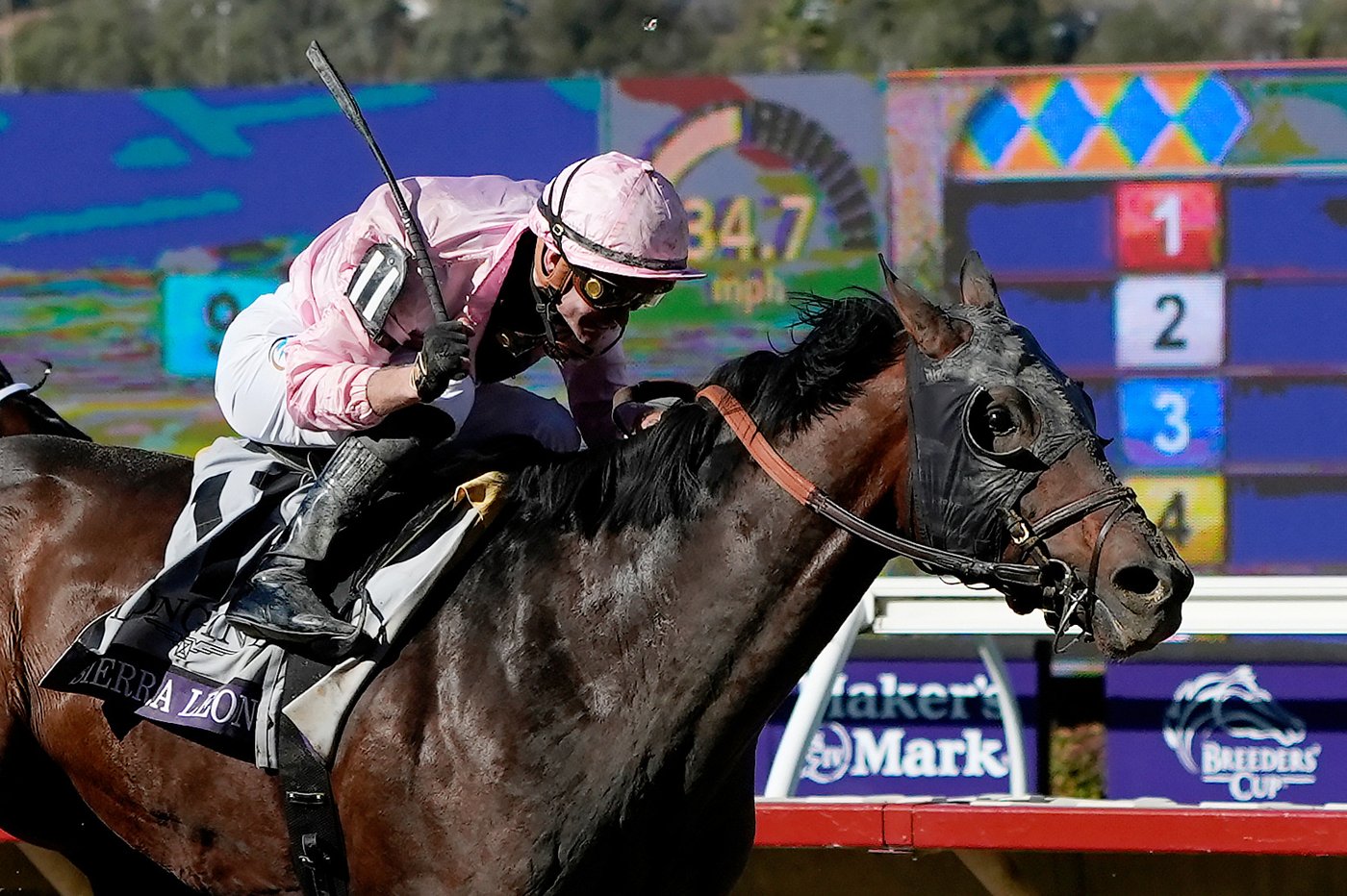 Sovereignty, Journalism, Sierra Leone headline loaded $7M Breeders' Cup Classic pre-entries | iNFOnews.ca Sovereignty, Journalism, Sierra Leone headline loaded $7M Breeders' Cup Classic pre-entries | iNFOnews.ca