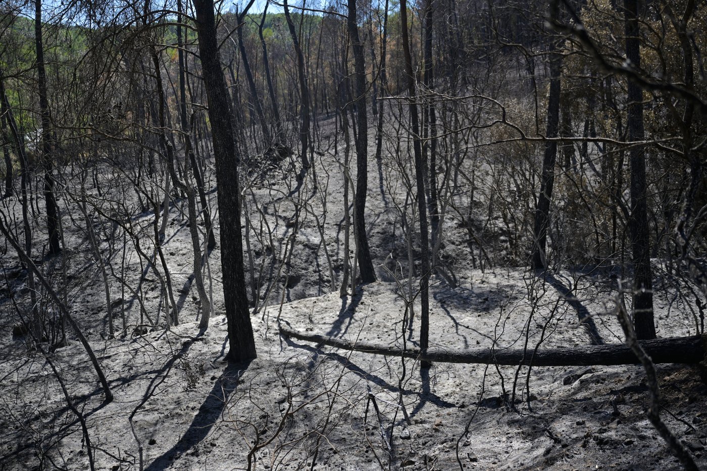 France records its hottest summer since measurements began over a century ago | iNFOnews.ca