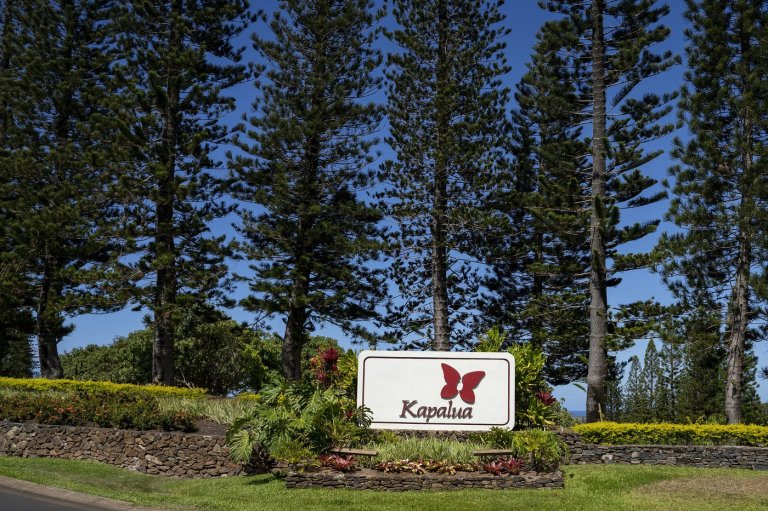 Kapalua golf course without irrigation for 7 days under worsening water restrictions | iNFOnews.ca