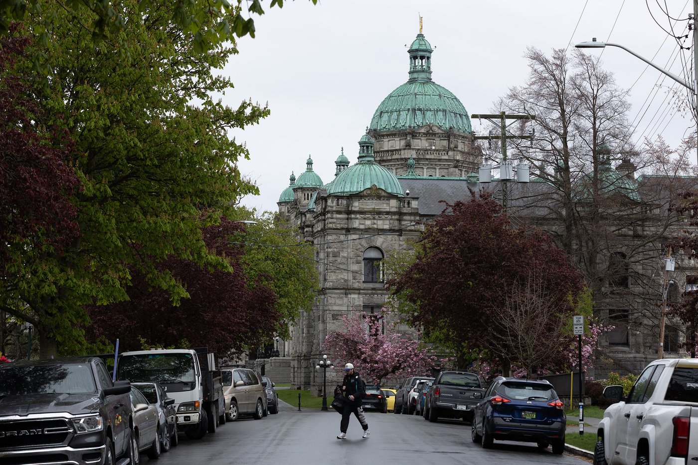 Elections BC says no deliberate violations in 2024 Surrey-Guildford vote | iNFOnews.ca
