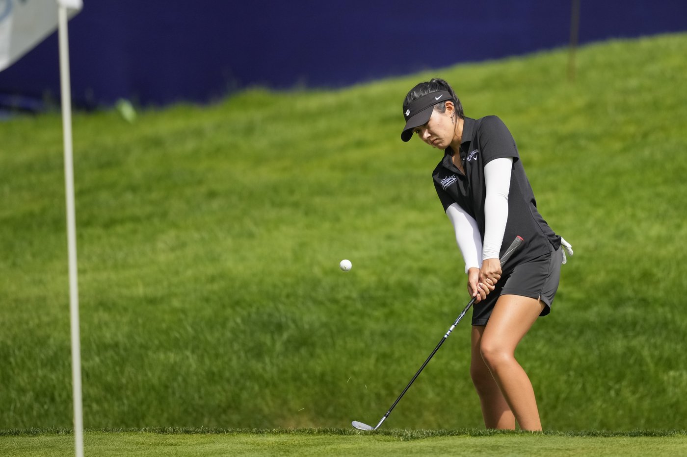 Savannah Grewal needs solid showing at the ANNIKA to clinch 2025 LPGA Tour card | iNFOnews.ca