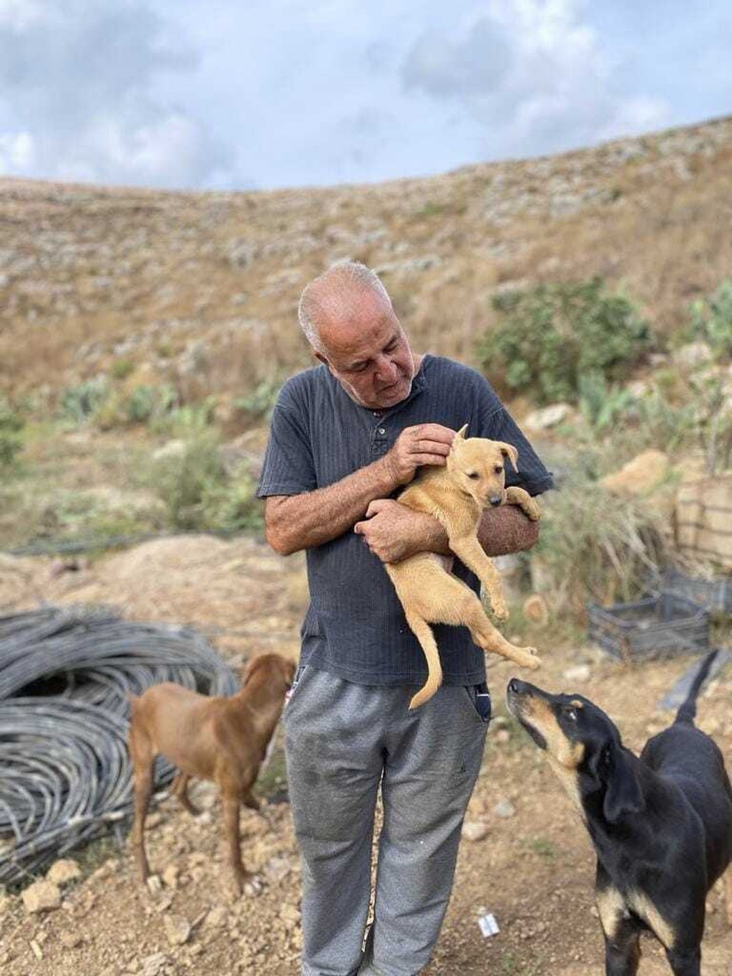 A man in South Lebanon cares for pets left behind as residents flee Israeli bombs | iNFOnews.ca