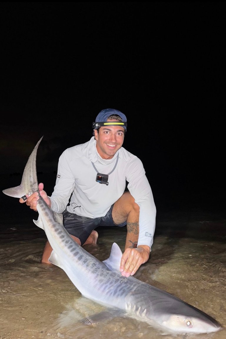 Tropical shark caught off Massachusetts could be sign of warming waters | iNFOnews.ca
