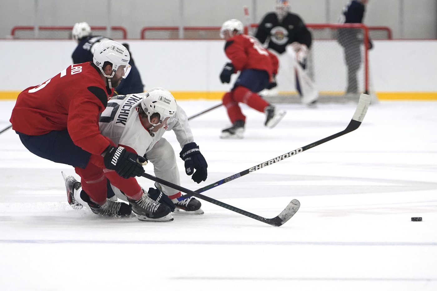 Florida Panthers out to defend the Stanley Cup, and the core from the title team is intact | iNFOnews.ca Florida Panthers out to defend the Stanley Cup, and the core from the title team is intact | iNFOnews.ca