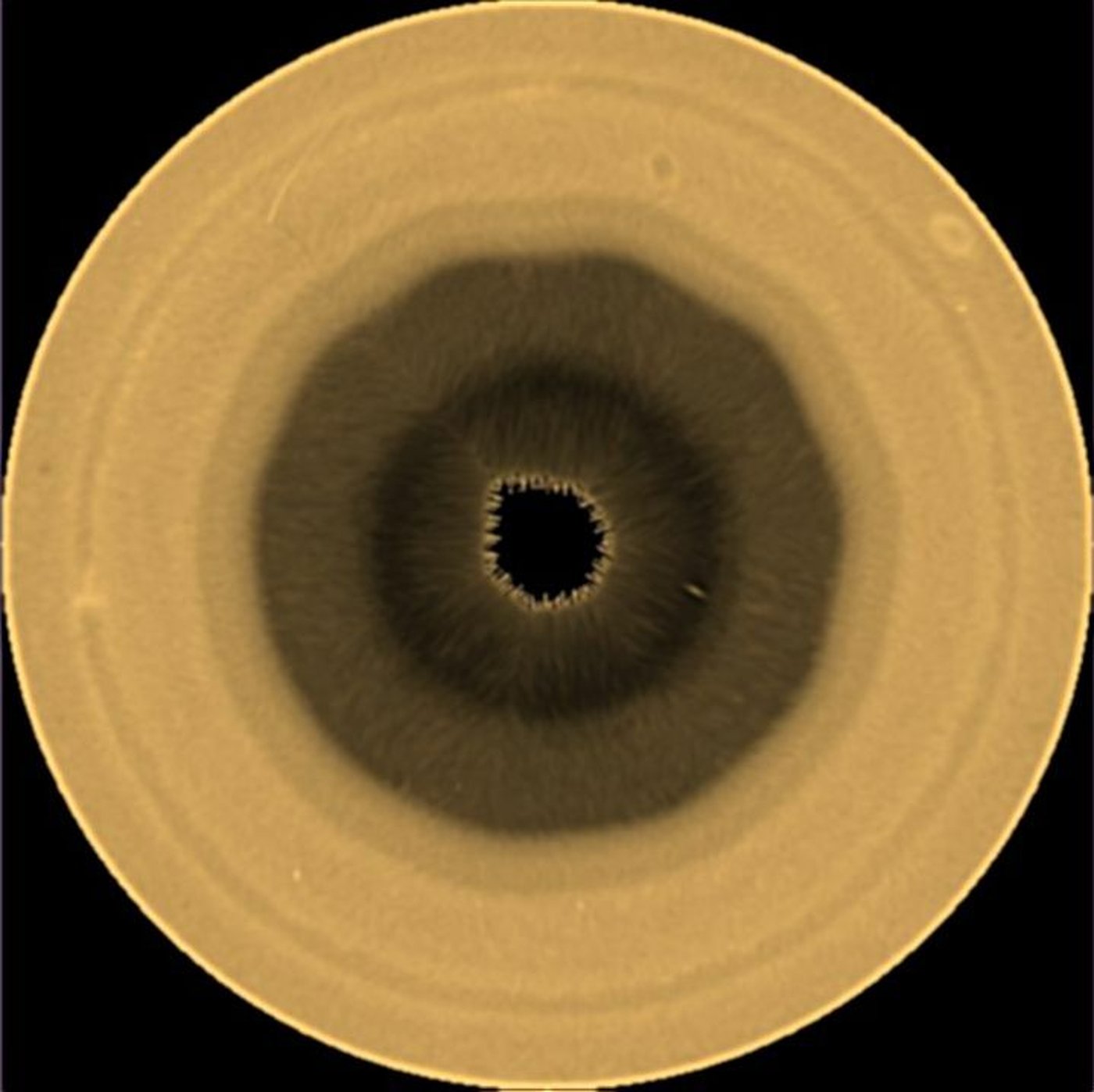 Scientists find a huge 10-sided wave pattern swirling in the clouds over Saturn's south pole | iNFOnews.ca