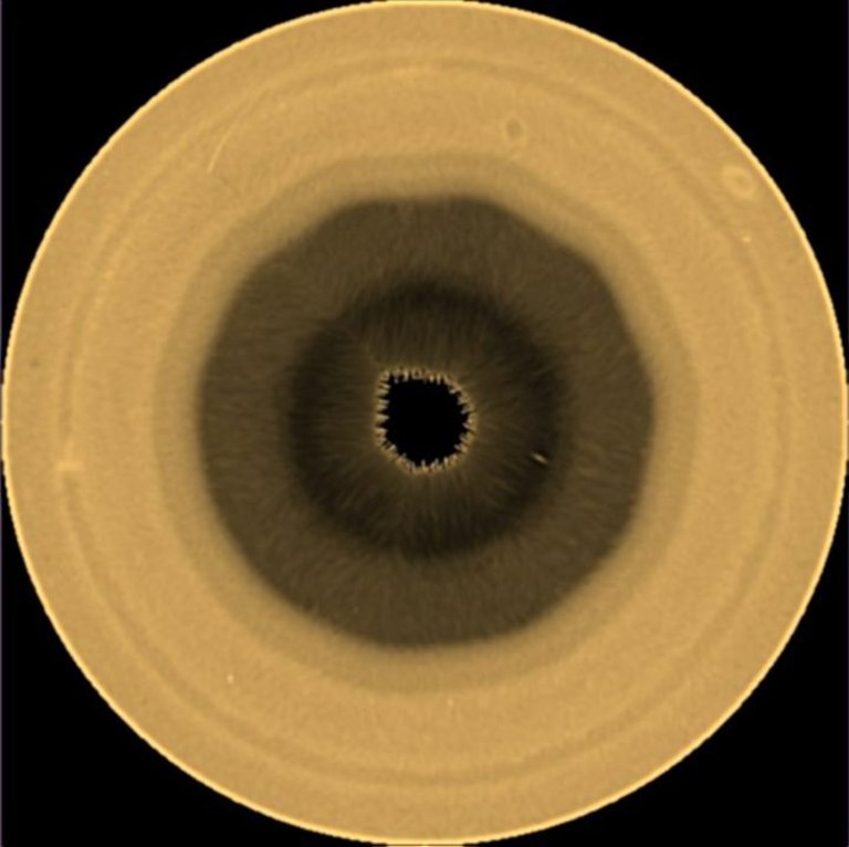 Scientists find a huge 10-sided wave pattern swirling in the clouds over Saturn's south pole | iNFOnews.ca