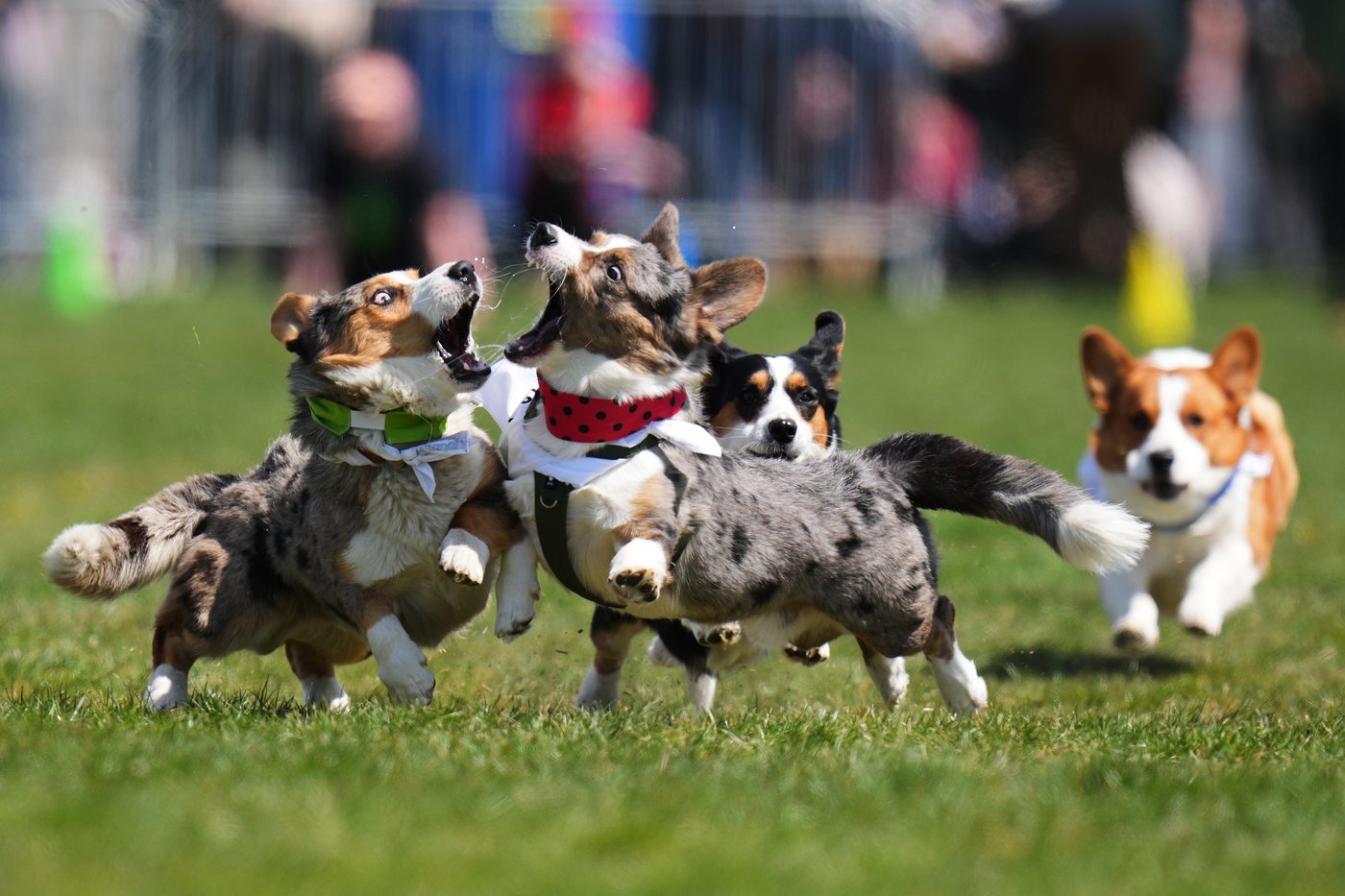 The top photos of the day by AP photojournalists | iNFOnews.ca