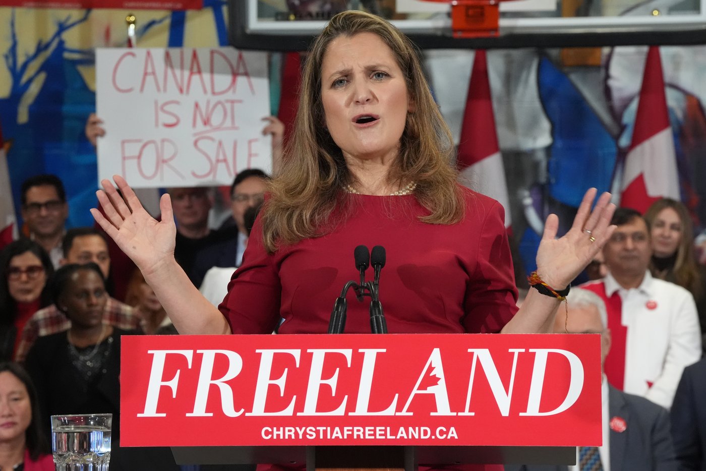 Quick Sketch: Meet Liberal leadership candidate Chrystia Freeland | iNFOnews.ca Quick Sketch: Meet Liberal leadership candidate Chrystia Freeland | iNFOnews.ca