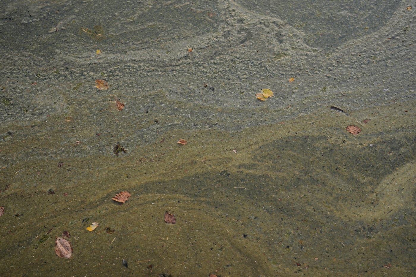 Reflecting Pool liner was cut with a sharp knife or razor, National Park Service says | iNFOnews.ca