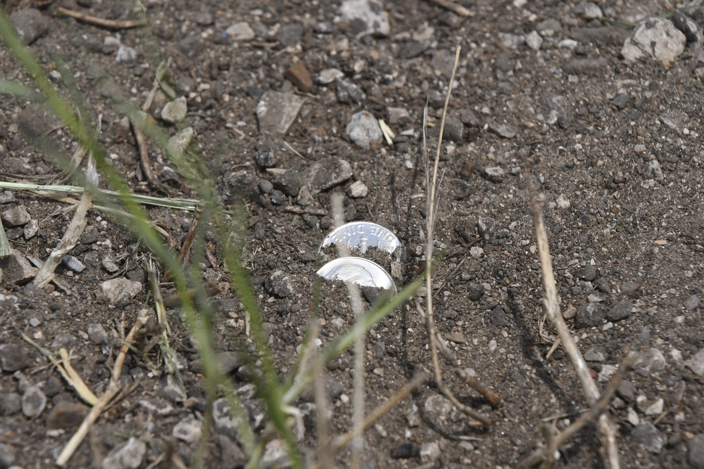 Cha-ching! Millions of dimes spill onto Texas highway after truck rolls | iNFOnews.ca