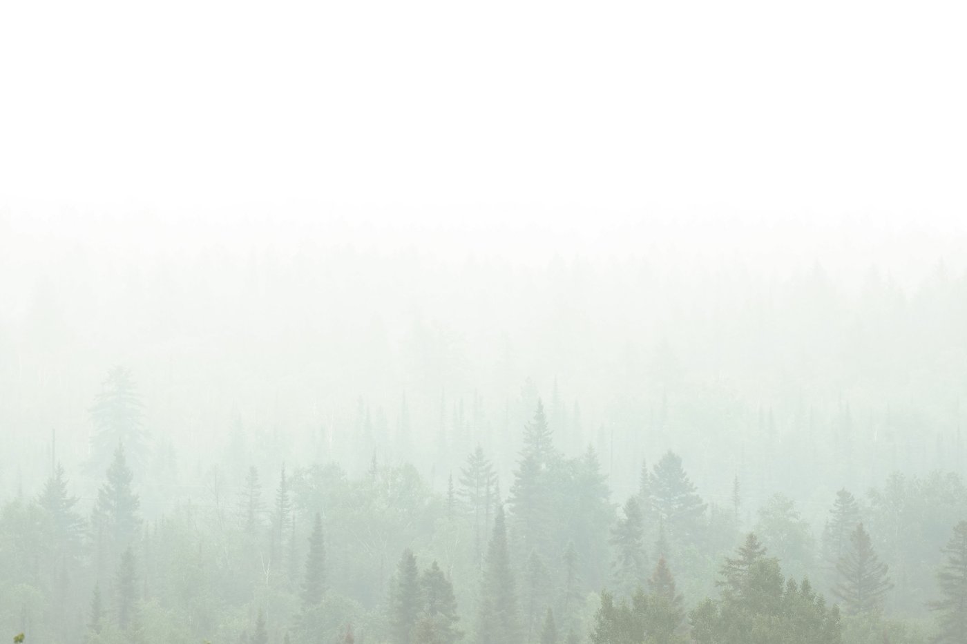 Canadian wildfire smoke unlikely to postpone World Cup final, expert says | iNFOnews.ca