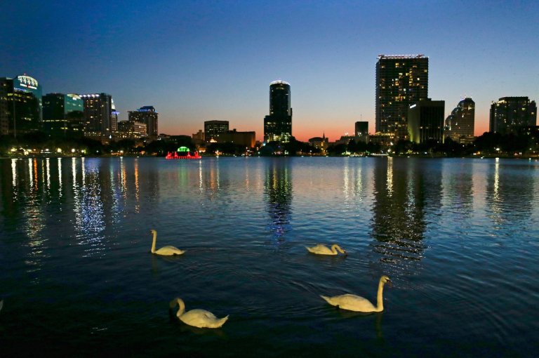 Officials suspect bird flu after 12 swans die at Orlando's Lake Eola | iNFOnews.ca