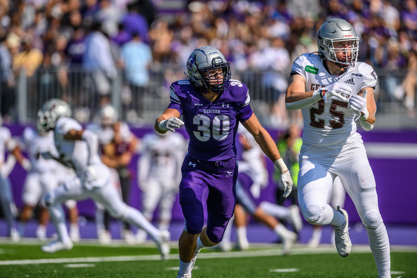 Western star Findlay to pursue CFL career before pursuing medical school | iNFOnews.ca