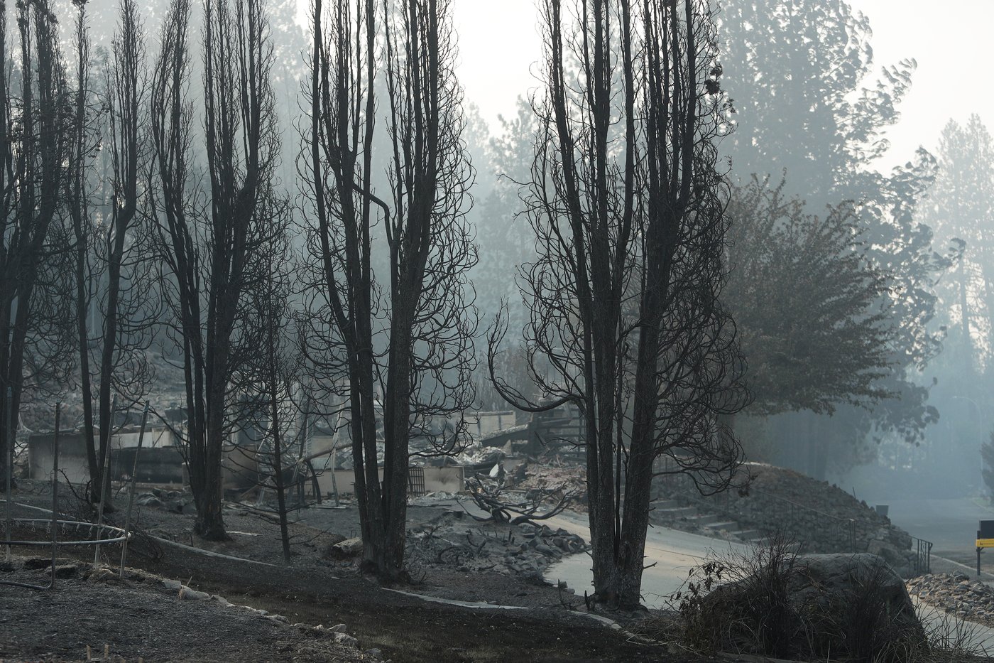 Authorities arrest arson suspect in connection with one of Spokane's devastating wildfires | iNwheels Authorities arrest arson suspect in connection with one of Spokane's devastating wildfires | iNwheels